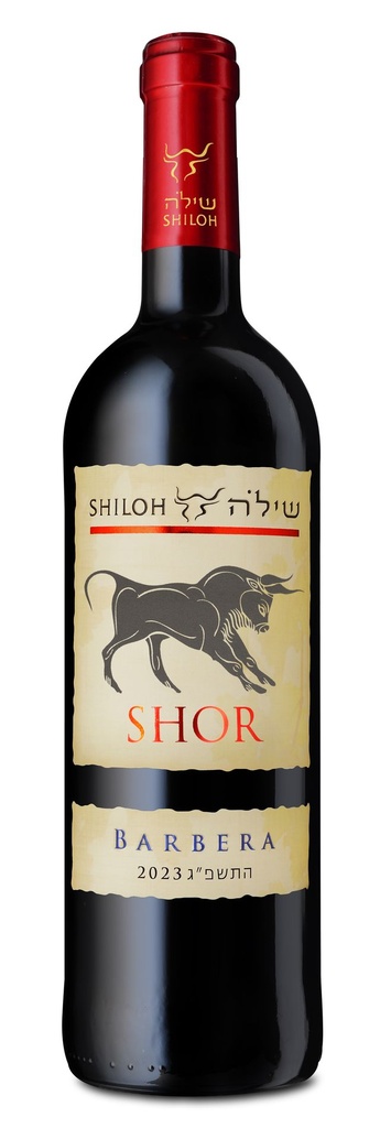 Shiloh Shor Barbera