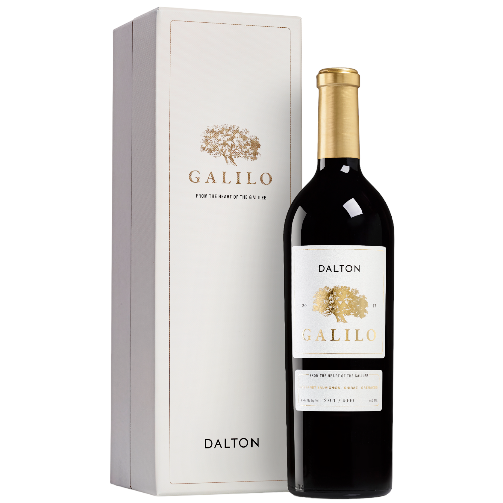 Dalton Galilo Mevushal