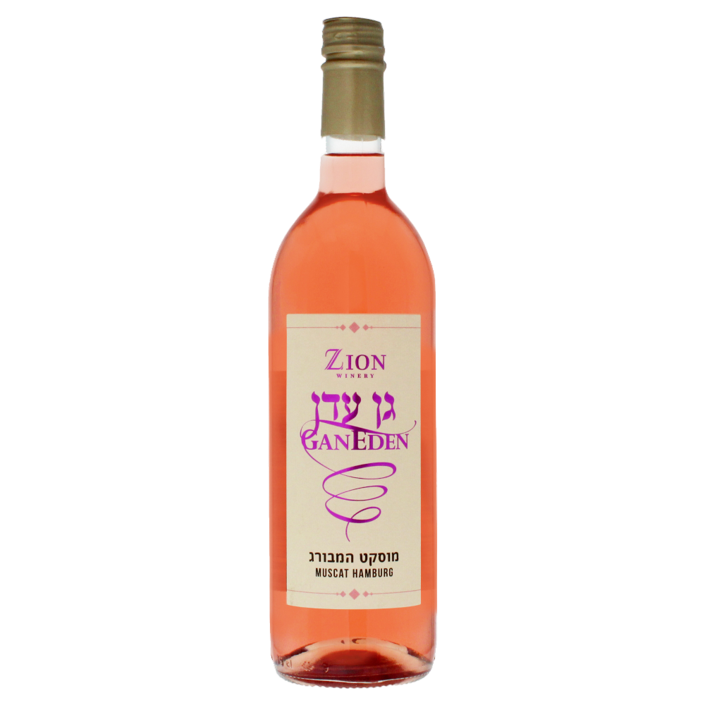 [6203511] Zion Gan Eden Muscat Hamburg
