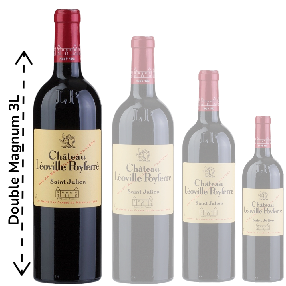 Pavillon de Leoville Poyferre 2020 - Double Magnum