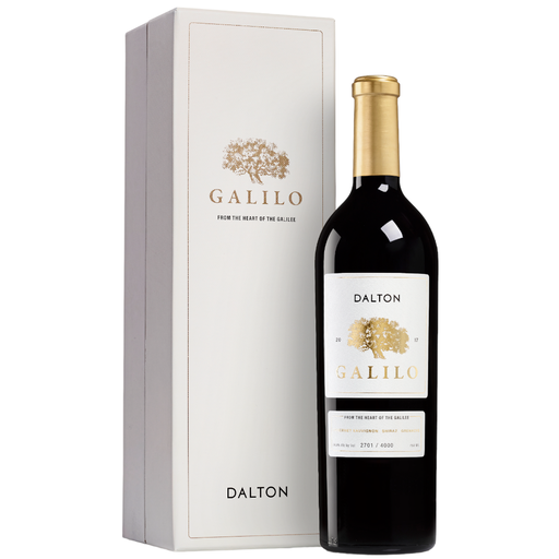 Dalton Galilo Mevushal