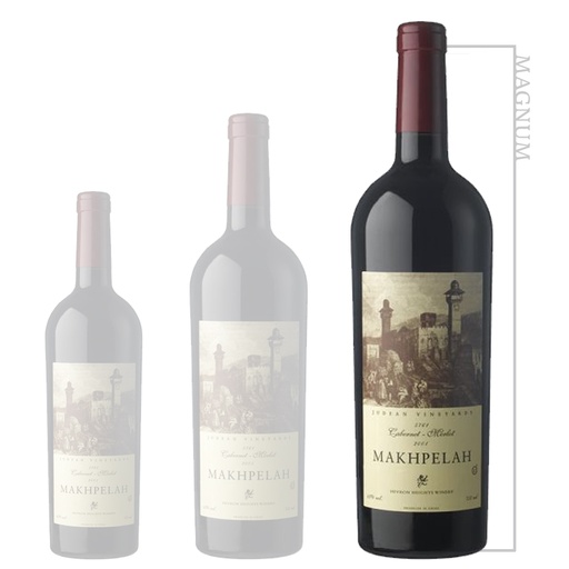 Hevron Heights Makhpelah - Magnum 2014