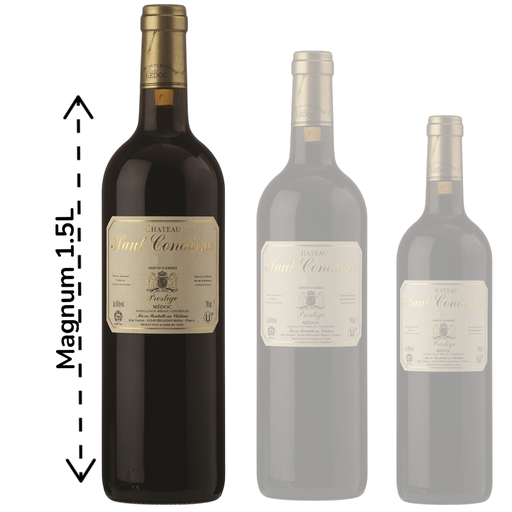 Chateau Haut Condissas 2017 - Magnum