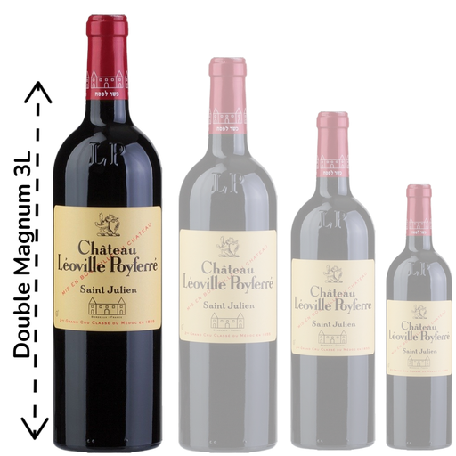 Pavillon de Leoville Poyferre 2020 - Double Magnum