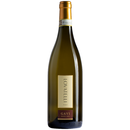 Lovatelli  Gavi